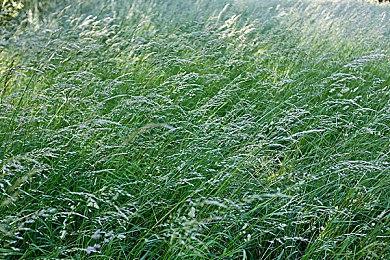 《彩虹六号：围攻》第八年季票开售 包含4名新干员